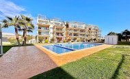 Apartamento - Apartamento Planta Baja - Venta - Orihuela - RSO-52454