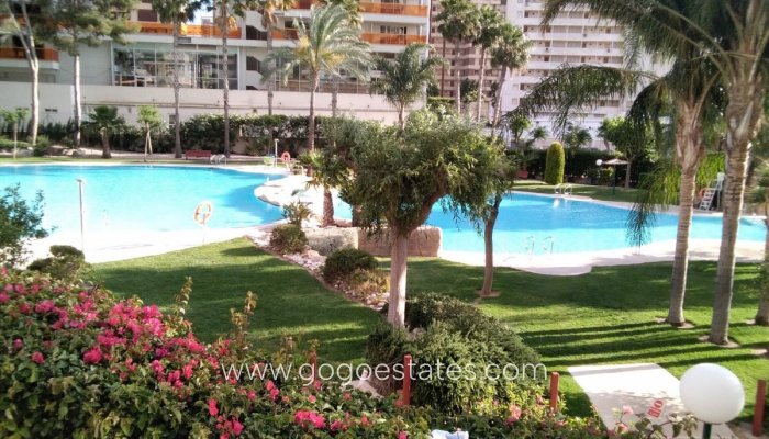 Apartment - Middle Floor Apartment - Resale - Benidorm - Benidorm Centro
