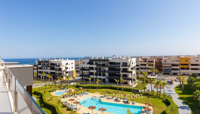 Appartement - Appartement au rez-de-chaussée - Revente - Orihuela - Playa Flamenca