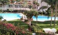 Appartement - Appartement op de middelste verdieping - Te koop - Benidorm - RSO-37769