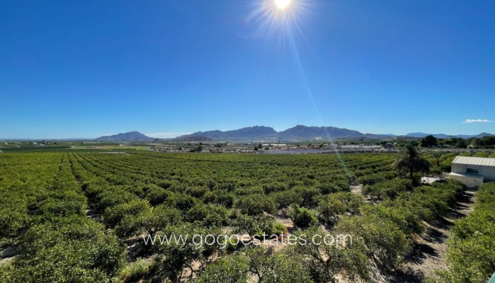 Casa - Chalet Independiente - Venta - Murcia - Murcia City