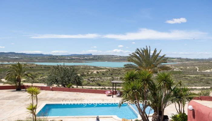 Casa - Chalet Independiente - Venta - San Miguel De Salinas - San Miguel de Salinas Centro