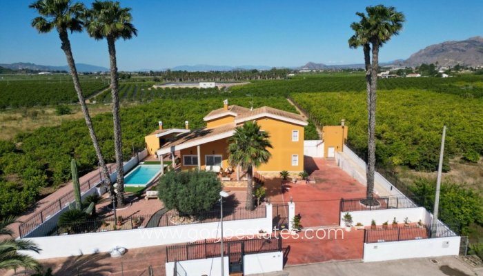 Casa - Finca - Cortijo - Venta - Orihuela - Orihuela Centro