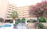 Comercial - Locales Comerciales - Venta - Orihuela - RSO-64080