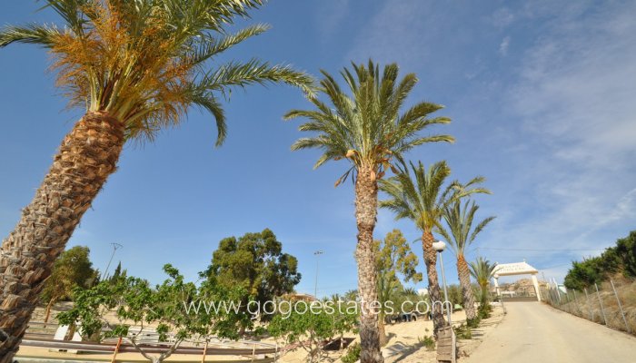 Comercial - Otros - Venta - Murcia - Abanilla Centro