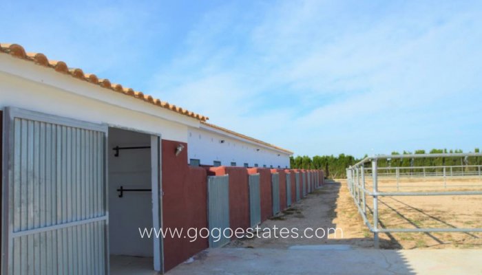 Commercial - Stables - Resale - San Miguel De Salinas - San Miguel de Salinas Centro