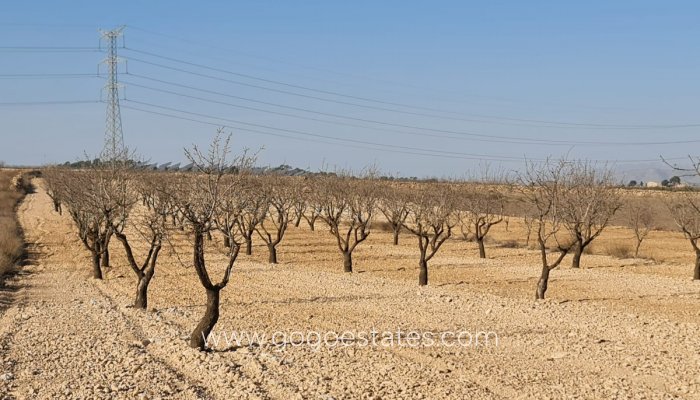 Grundstück - Wiederverkauf - Jumilla - Jumilla Centro