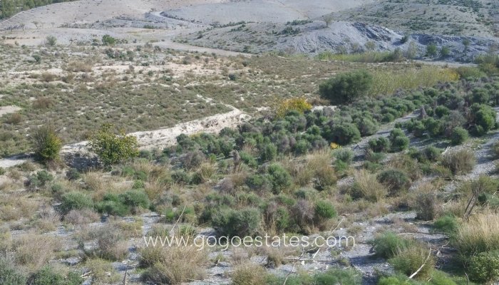 Grundstück - Wiederverkauf - Lorca - Lorca Centro