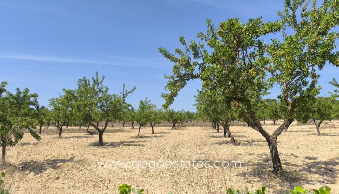 Grundstück - Wiederverkauf - Monóvar - Monòver - Monóvar - Monòver Centro