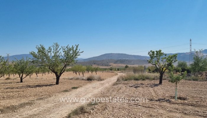 Grundstück - Wiederverkauf - Murcia - Abanilla Centro