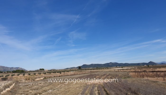 Grundstück - Wiederverkauf - Pinoso - Pinoso Centro