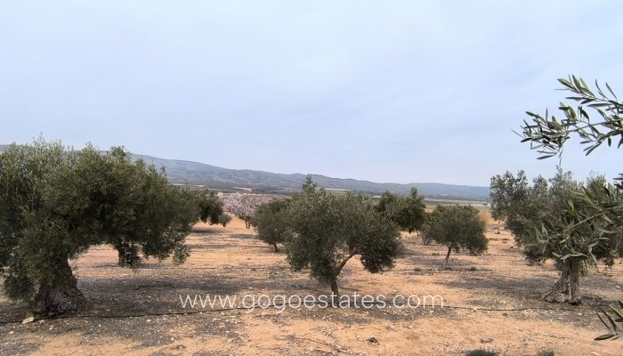 Grundstück - Wiederverkauf - Villena - Villena Centro