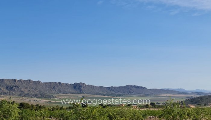 Grundstück - Wiederverkauf - Yecla - Raspay