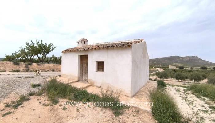 Haus - Finca - Cortijo - Wiederverkauf - Jumilla - Jumilla Centro
