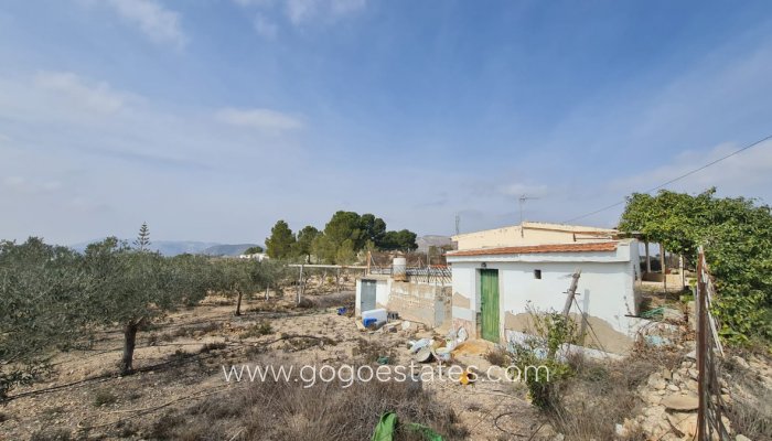 Haus - Finca - Cortijo - Wiederverkauf - La Romana - La Romana Centro