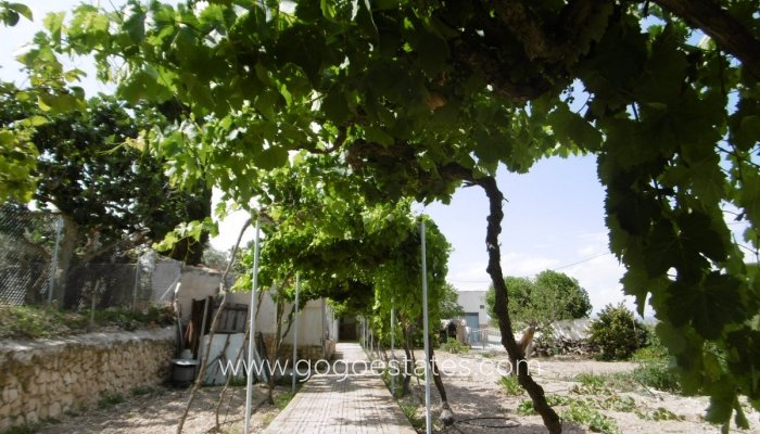 House - Detached Villa - Resale - Yecla - Yecla Centro