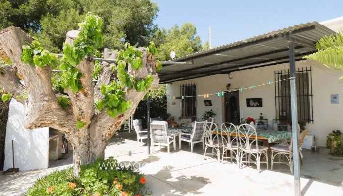 House - Finca - Cortijo - Resale - Alicante - Dolores Centro