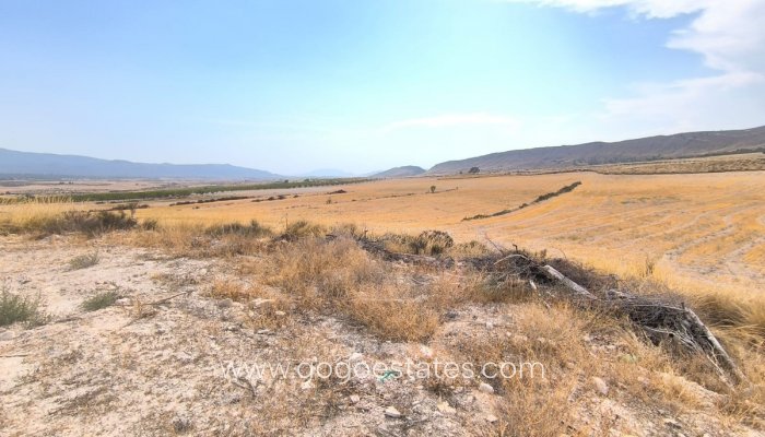 Huis - Finca - Cortijo - Te koop - Jumilla - Jumilla Centro