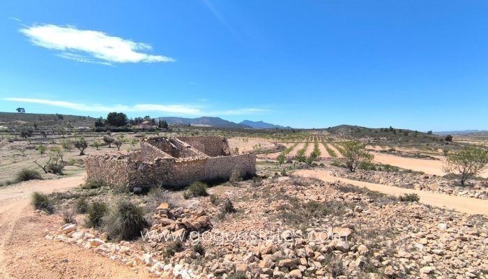 Maison - Finca - Cortijo - Revente - Pinoso - Pinoso Centro