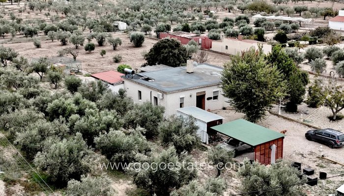 Maison - Villa Individuelle - Revente - Salinas - Salinas Centro