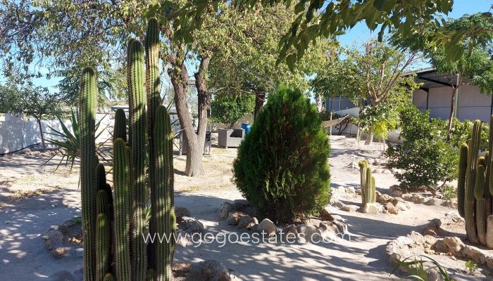 Negocio - Venta - Baza - Baza