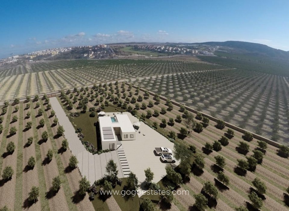 Neubouw - Villa - Algorfa - Lomas De La Juliana