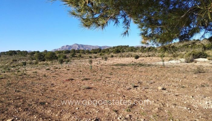 Parcela - Parcela residencial - Venta - Relleu - Relleu Centro