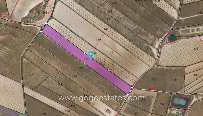 Parcela - Resale - Jumilla - Jumilla Centro