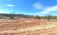 Parcela - Resale - Jumilla - R5004913
