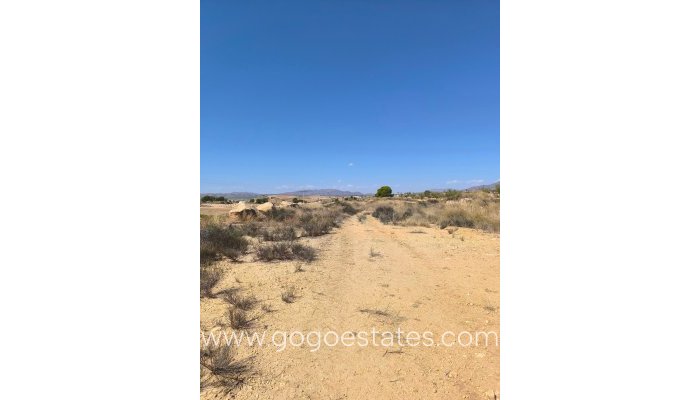 Parcela - Revente - Jumilla - Jumilla Centro