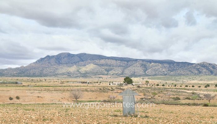 Parcela - Te koop - Jumilla - Torre del Rico