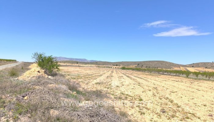 Parcela - Te koop - Torre - Pacheco - Torre-Pacheco - Torre-Pacheco ciudad