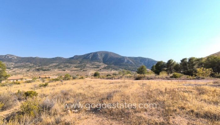 Parcela - Terreno - Venta - Algorfa - Algueña