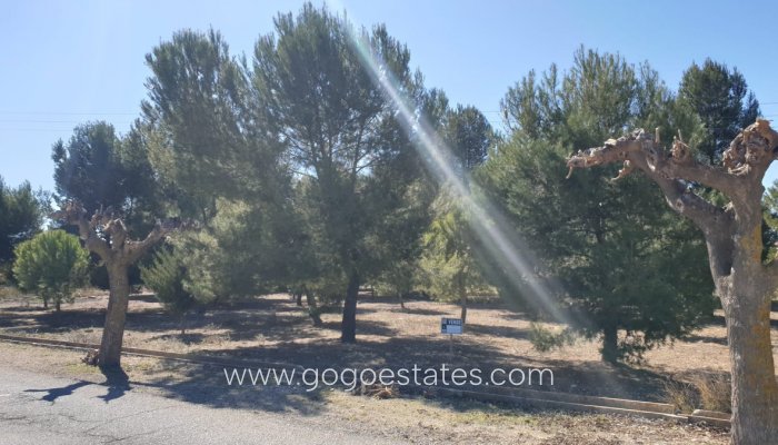 Parcela - Terreno - Venta - Beneixama - Beneixama Centro