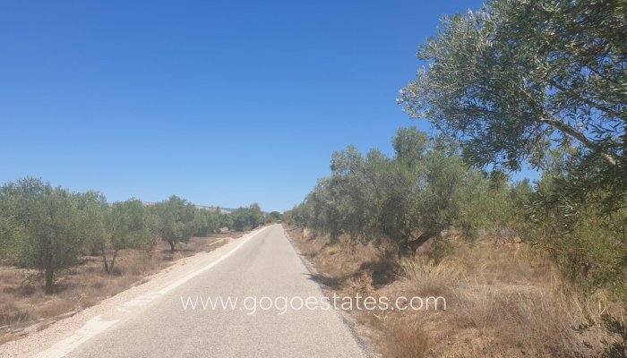 Parcela - Terreno - Venta - Biar - Biar Centro