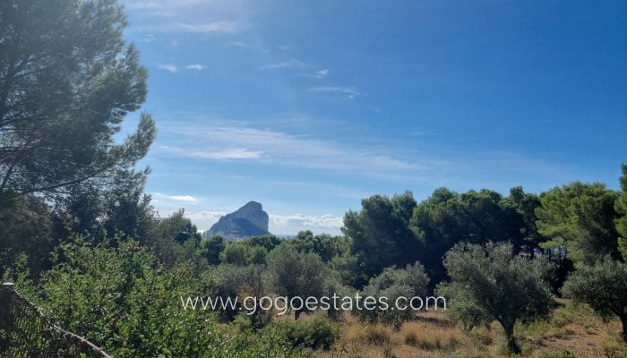 Parcela - Terreno - Venta - Calpe - Calpe Centro