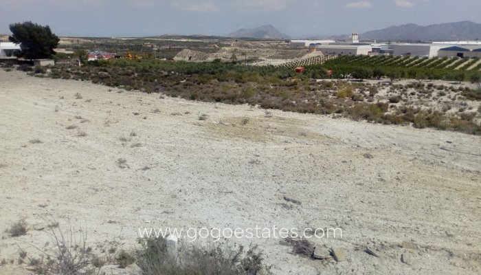 Parcela - Terreno - Venta - Fortuna - Fortuna Centro