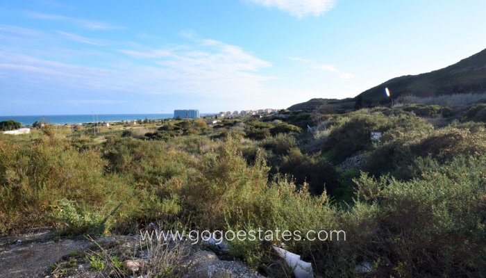 Parcela - Terreno - Venta - Guardamar del Segura - Guardamar del Segura Centro