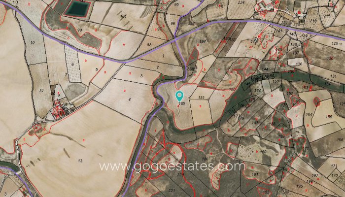 Parcela - Terreno - Venta - Jumilla - Jumilla Centro