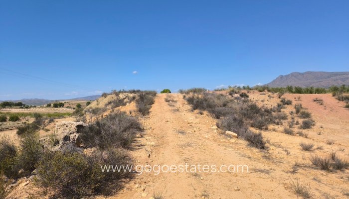 Parcela - Terreno - Venta - Jumilla - Jumilla Centro