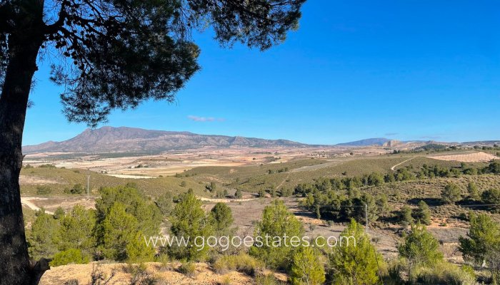 Parcela - Terreno - Venta - Jumilla - La Zarza