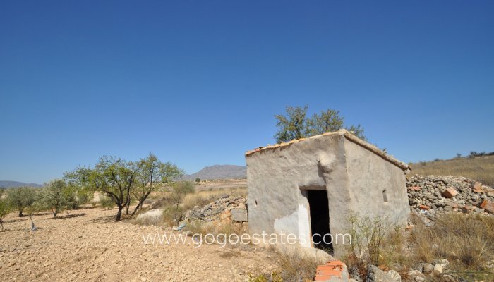 Parcela - Terreno - Venta - Jumilla - Torre del Rico