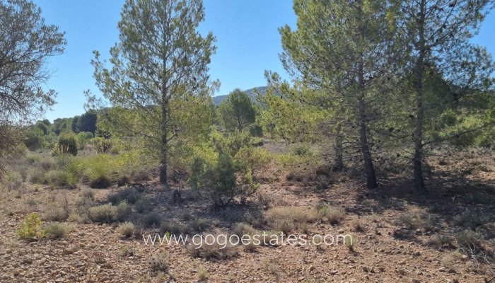 Parcela - Terreno - Venta - Monóvar - Monòver - Casas del Señor