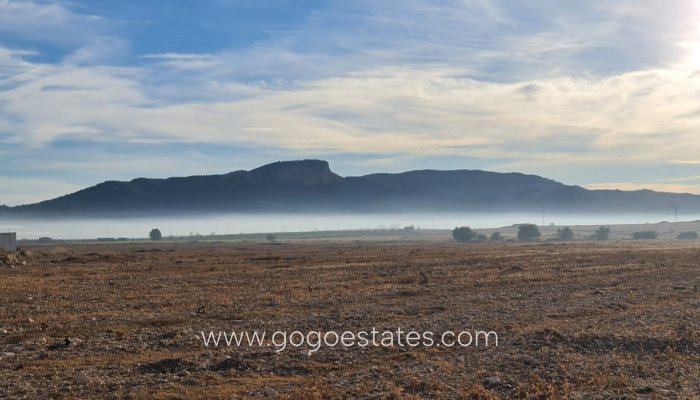 Parcela - Terreno - Venta - Monóvar - Monòver - Monóvar - Monòver Centro