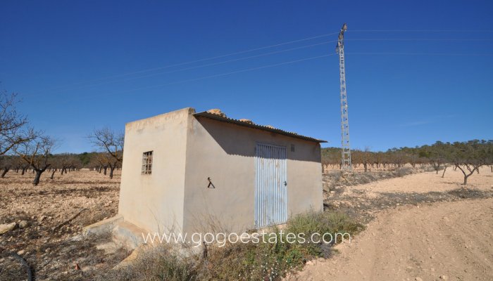 Parcela - Terreno - Venta - Monóvar - Monòver - Monóvar - Monòver Centro