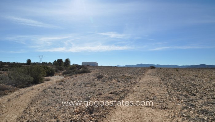 Parcela - Terreno - Venta - Monóvar - Monòver - Monóvar - Monòver Centro