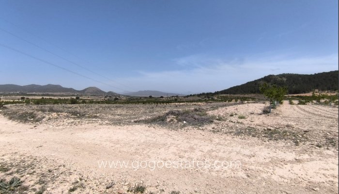 Parcela - Terreno - Venta - Monóvar - Monòver - Monóvar - Monòver Centro