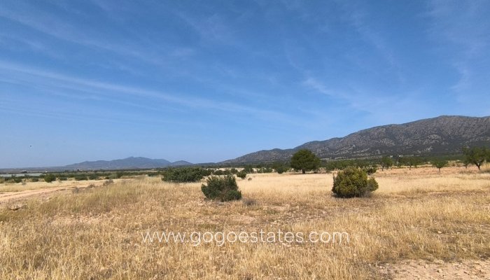 Parcela - Terreno - Venta - Monóvar - Monòver - Monóvar - Monòver Centro