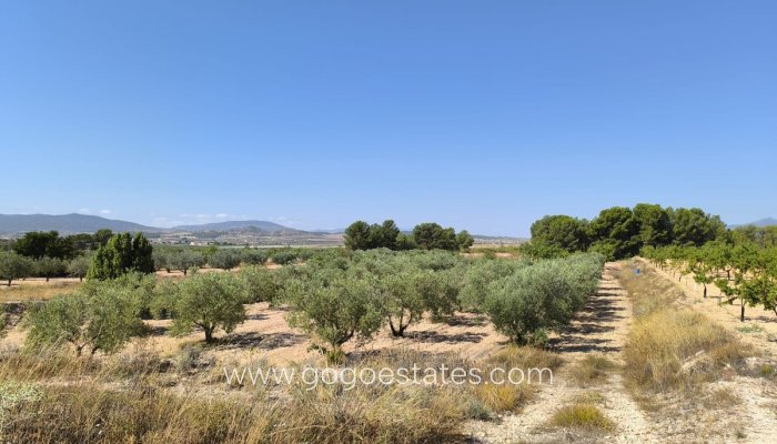 Parcela - Terreno - Venta - Monóvar - Monòver - Monóvar - Monòver Centro