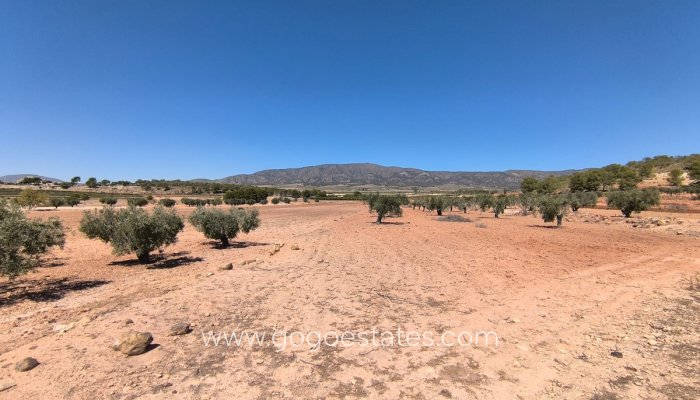 Parcela - Terreno - Venta - Monóvar - Monòver - Monóvar - Monòver Centro